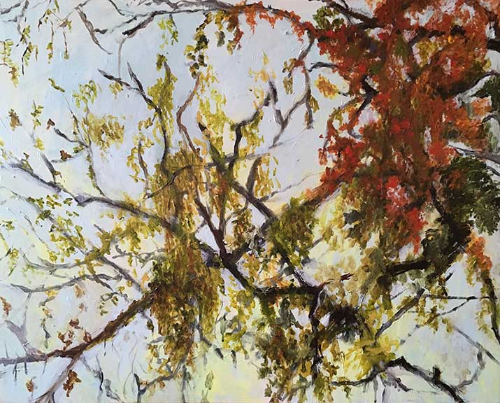 Vines and Branches © Jane Sherrill